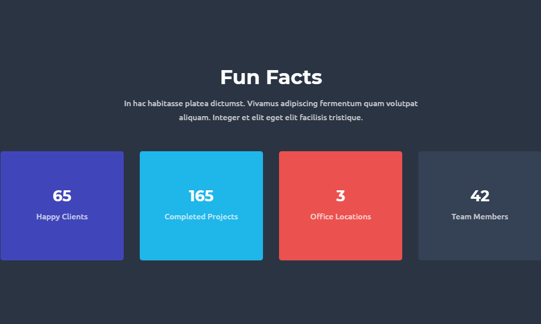 Web Agency – Services/Fun Fact